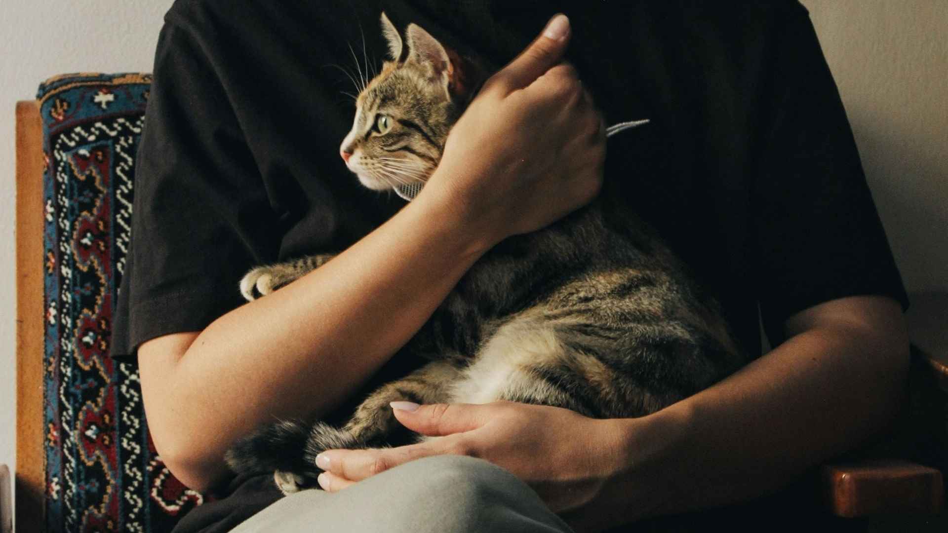 chica abrazando a su gato